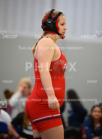 DLS_7123