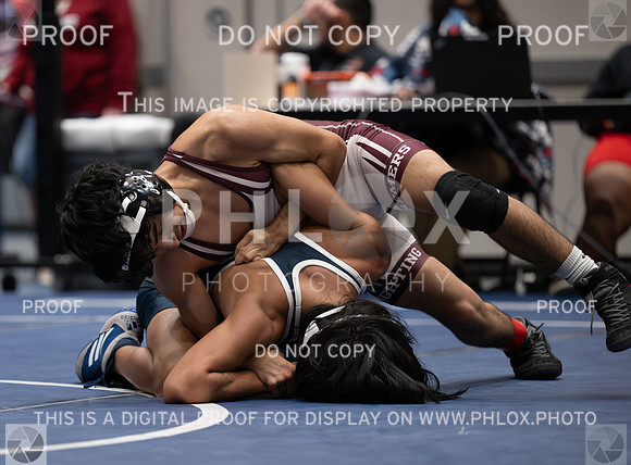 DLS_7356