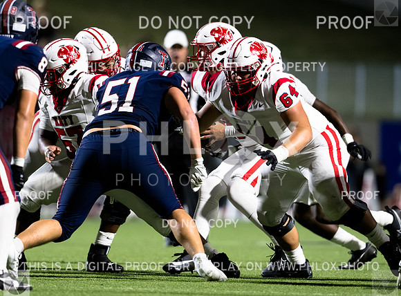 DLS_4198