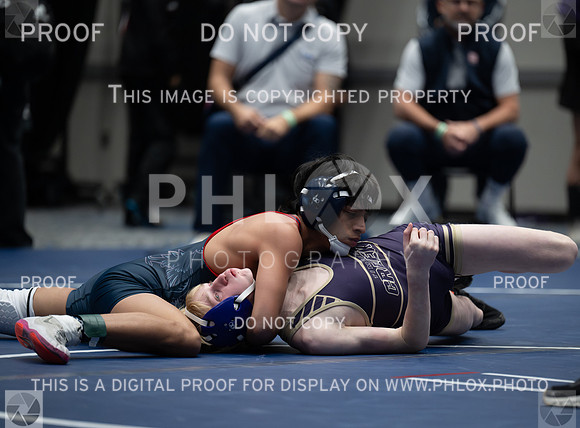 DLS_6289