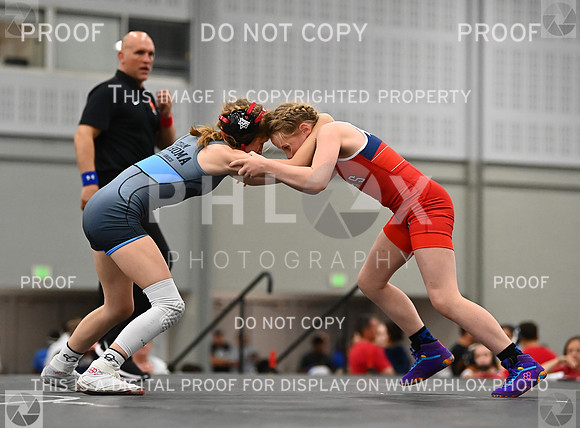 DLS_7534