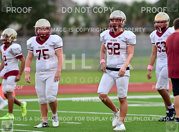 CAR_3923