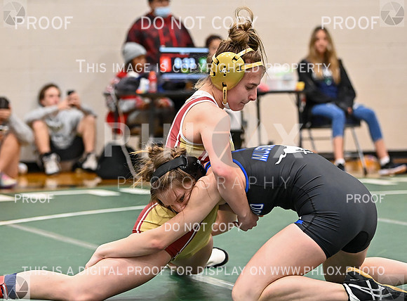 DLS_4961