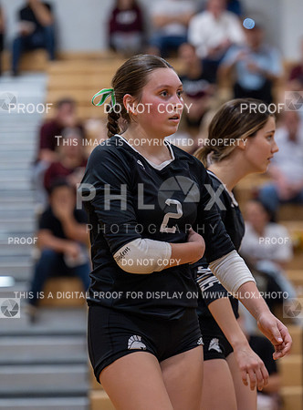 DLS_2074