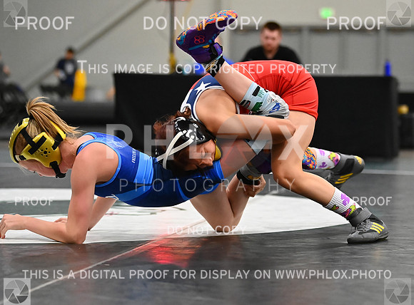 DLS_8428