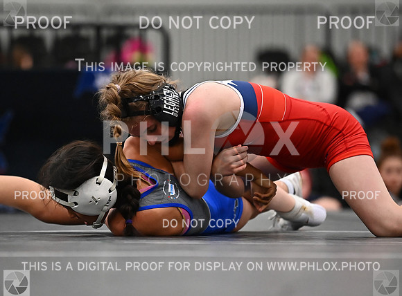 DLS_6836