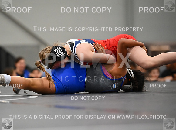 DLS_6822