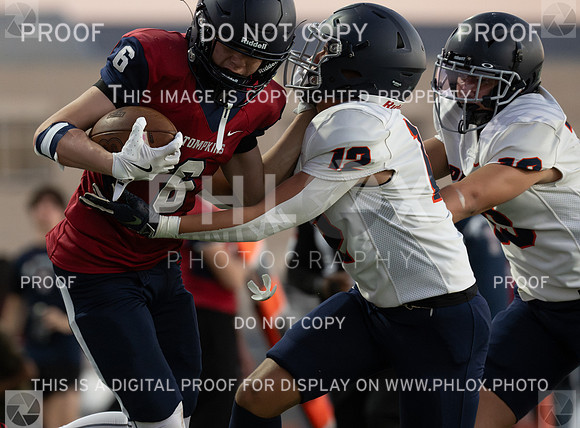 DLS_8671