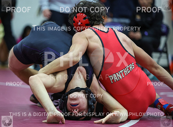 DDN_8206