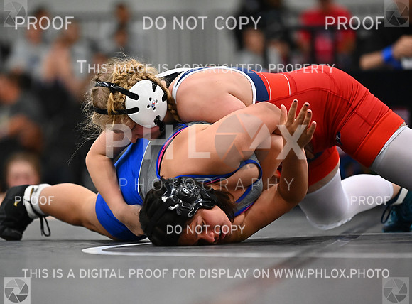 DLS_6708