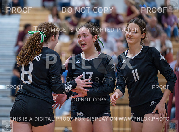 DLS_2085
