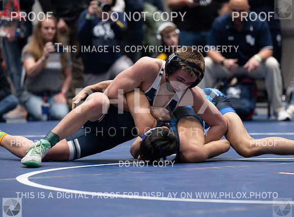 DLS_6717