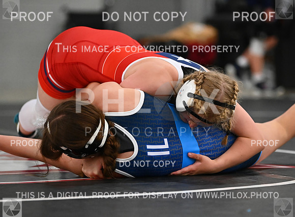 DLS_9028