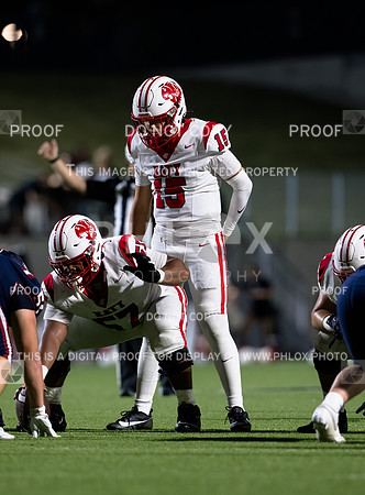 DLS_4197