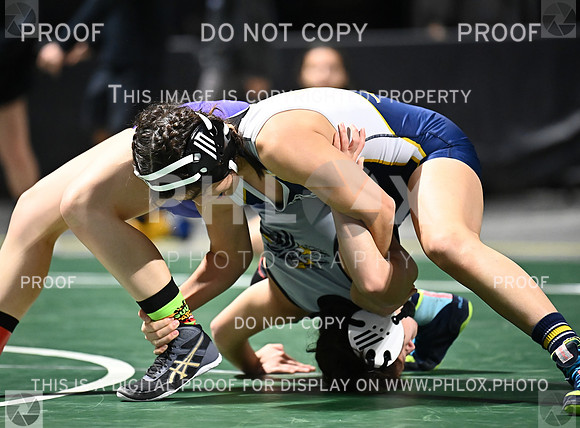 DLS_6442