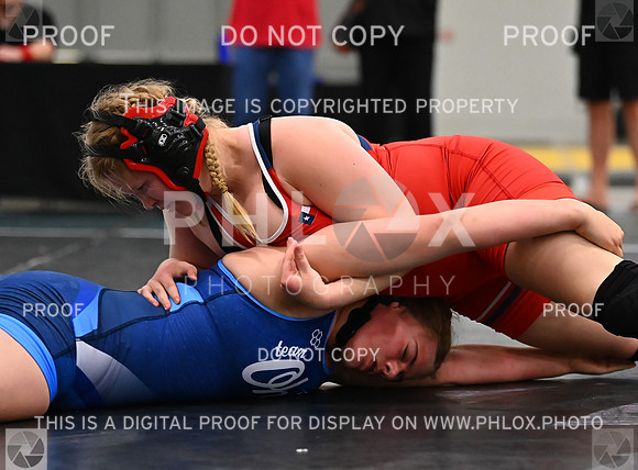 DLS_8421