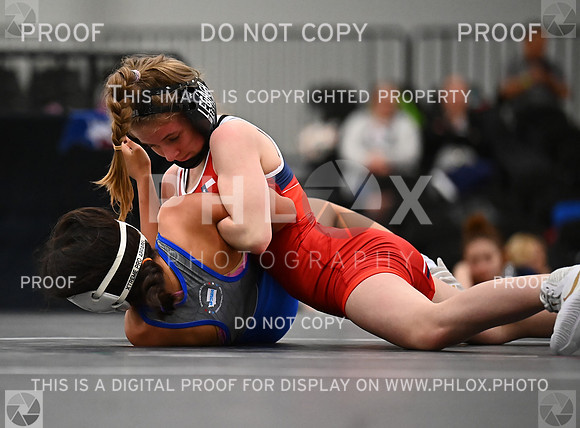 DLS_6831