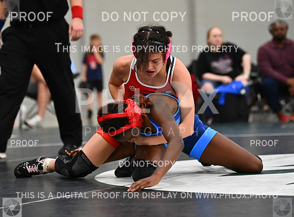 DLS_8541
