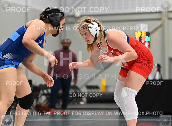 DLS_8786