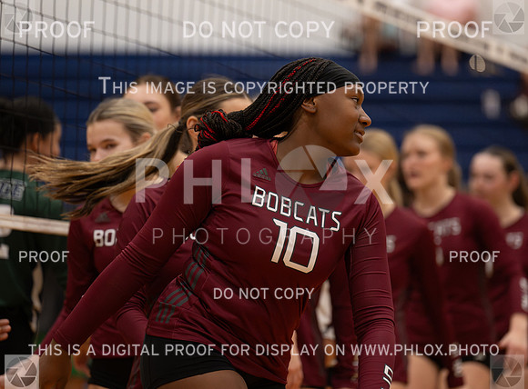 DLS_7950