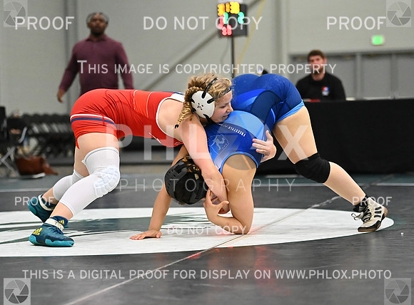 DLS_8770