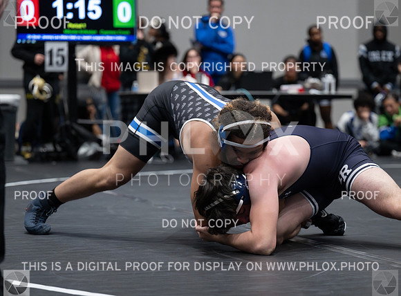 DLS_6461