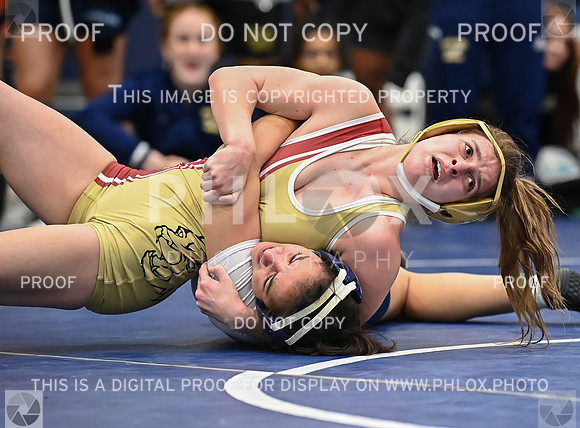 DLS_4473