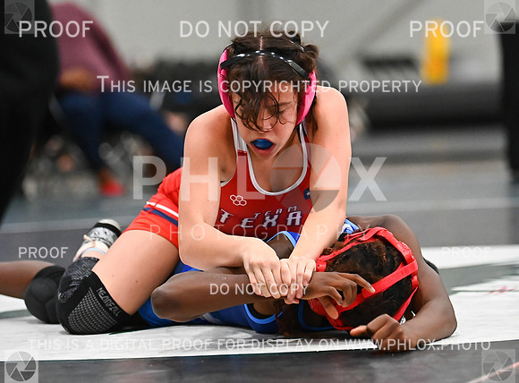 DLS_8586