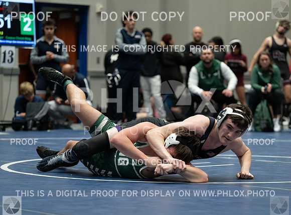 DLS_6436