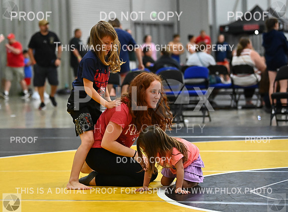 DLS_8399