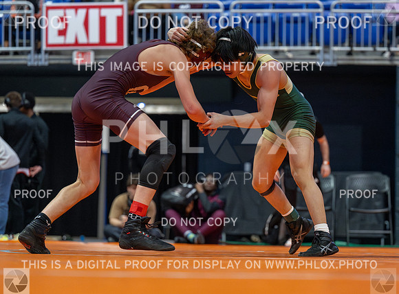 DLS_7817-Enhanced-NR