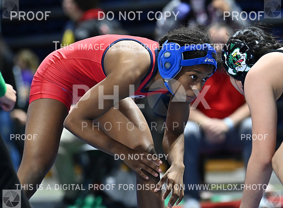 DLS_0199