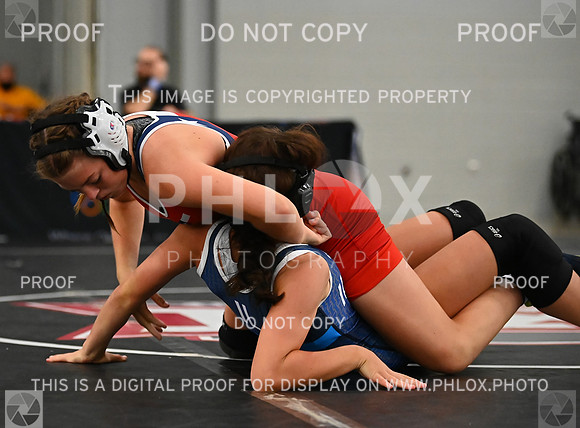 DLS_8992