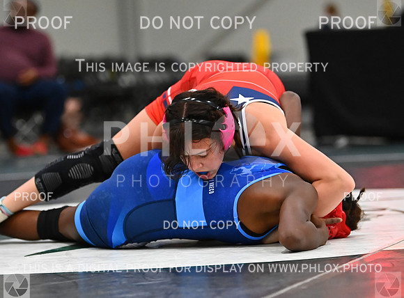 DLS_8593