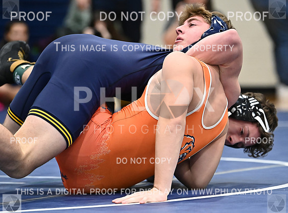 DLS_4819