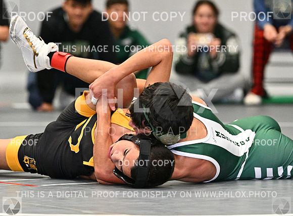DLS_8424