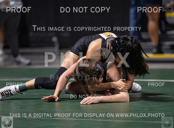 DLS_7786