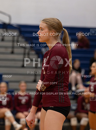 DLS_7977