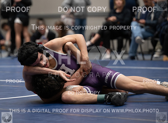 DLS_8111