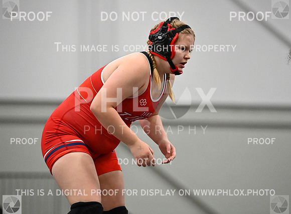 DLS_6745