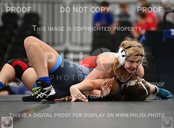 DLS_7455
