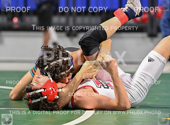 DLS_9879