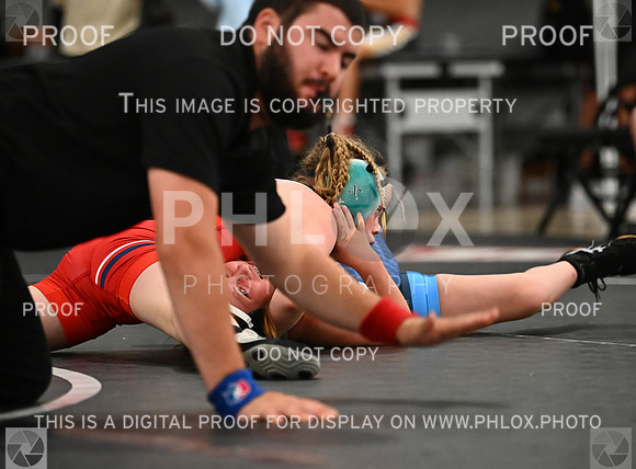 DLS_8855