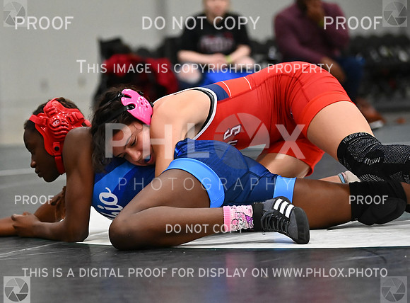 DLS_8478