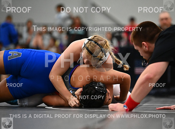 DLS_6715