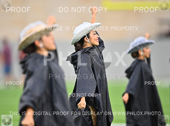 DLS_4982