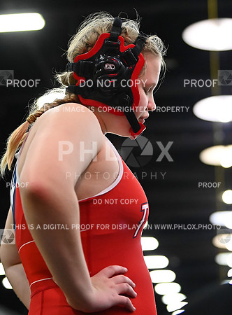 DLS_7704