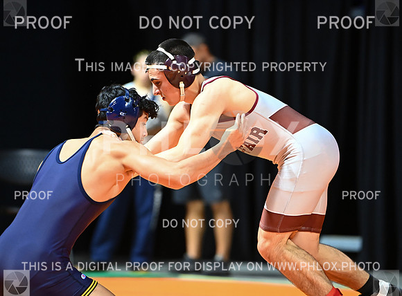 DLS_6655