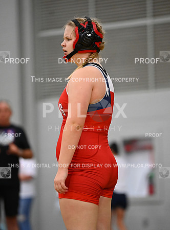 DLS_7158