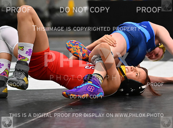 DLS_8430
